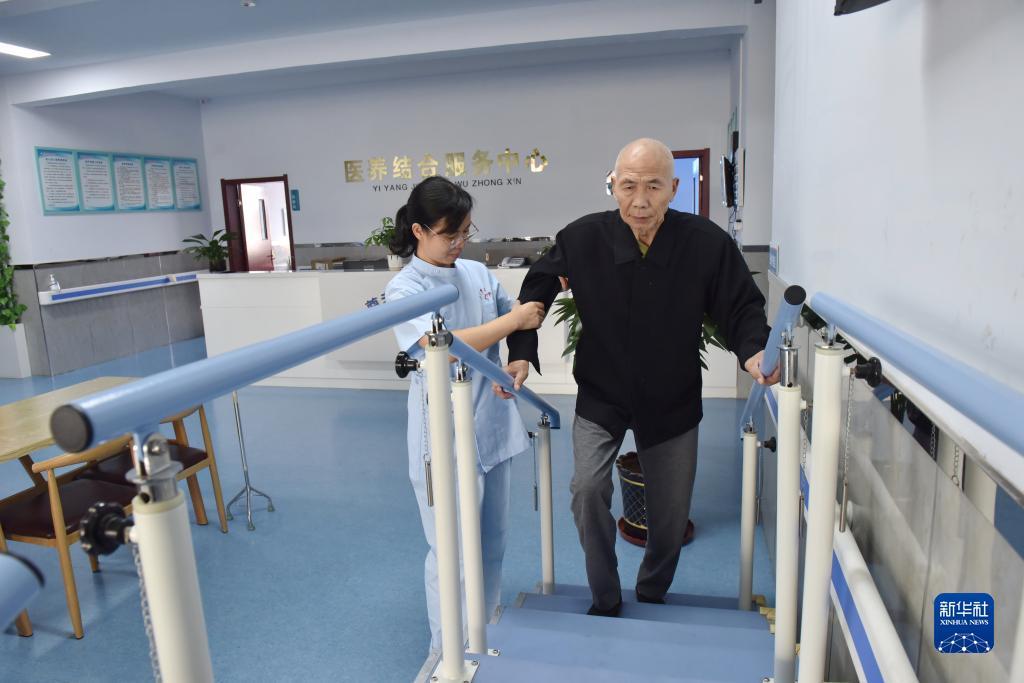 最全菠菜导航